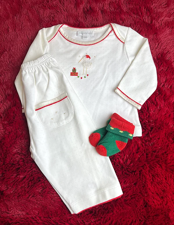 special delivery christmas set reborn doll accessory