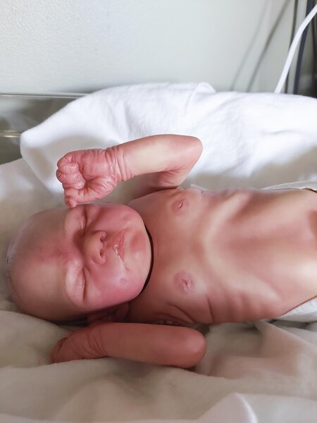 hayden reborn doll by kelly's weekend nursey - 16 inches (40.64 cm) (#158477)