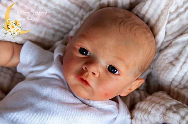jasmim reborn doll by to the moon and back nursery