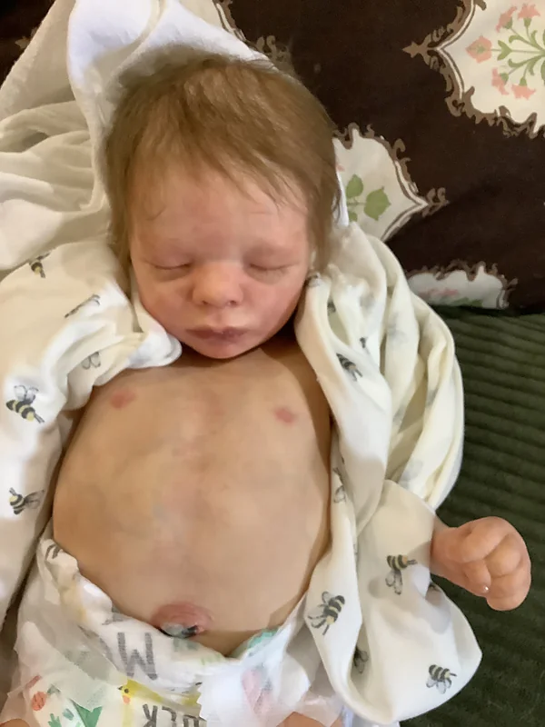leif reborn doll