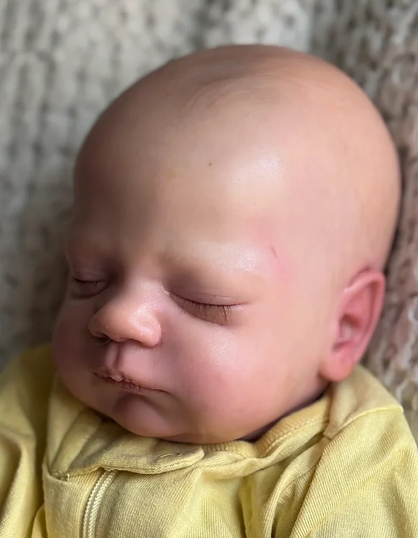 trent reborn doll by honeybee art dolls