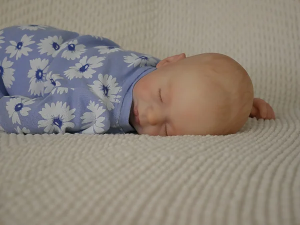 aspen reborn doll