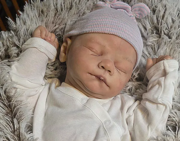 david reborn doll by windhorse fine art dolls