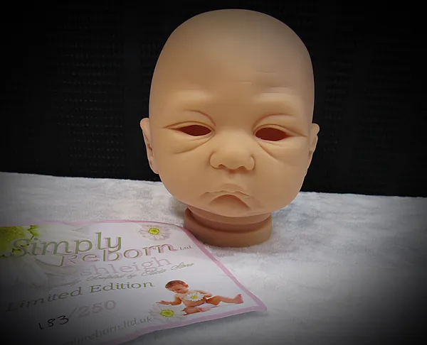 long so ashleigh reborn doll